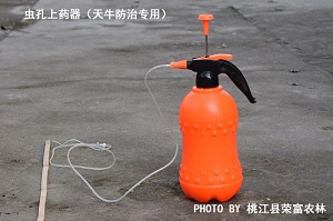 虫孔上药器（天牛防治专用）