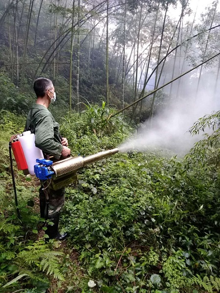 竹蝗防治承包处