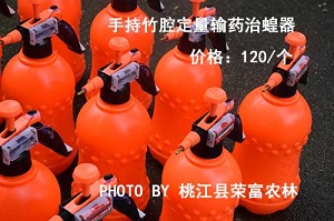 手持竹腔定量输药治蝗器